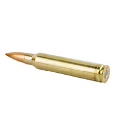 .300 Winchester Magnum